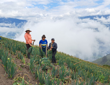 Agricultura